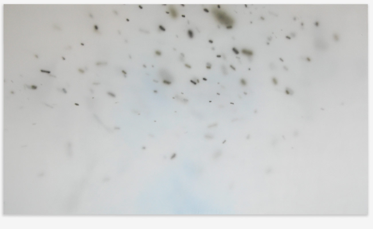 http://www.beate-slansky.de/files/gimgs/th-51_Novo-Tempete.jpg